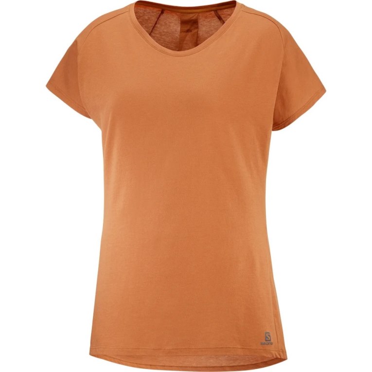 Brown Salomon Essential Shaped Short Sleeve Women's T-Shirts | IE HR4317